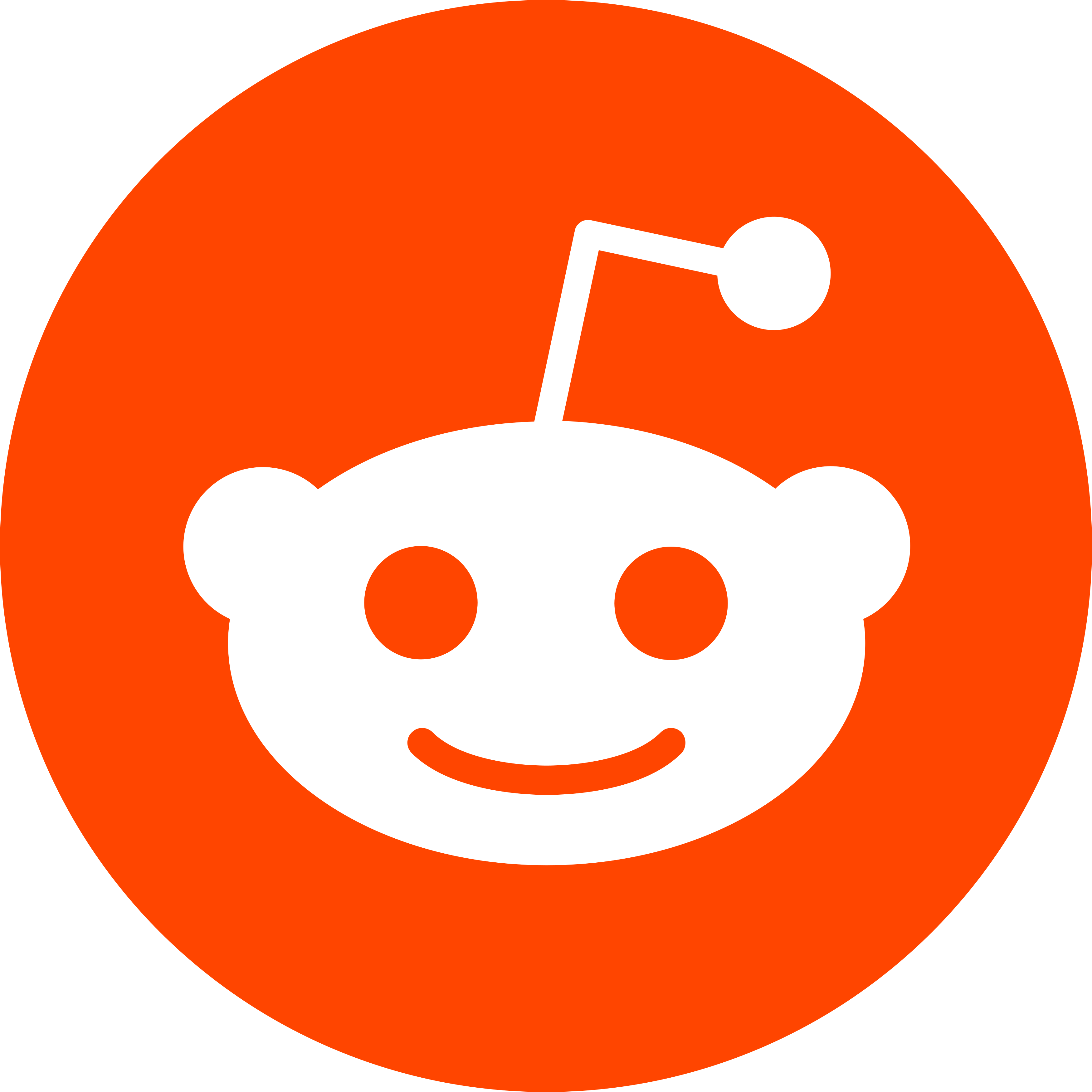 validdit
